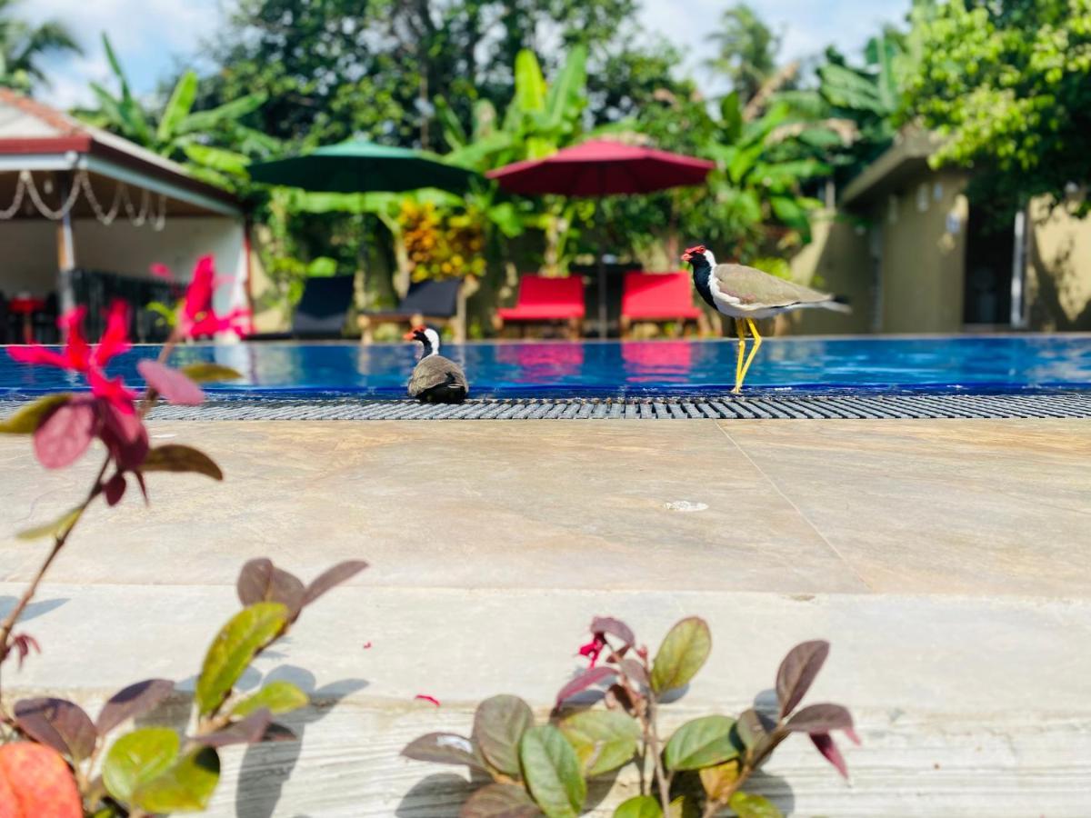 The Kingslayer Resort Negombo Exterior photo